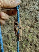 Insect nests made of dirt and attached to ropes.  Photos that look rare and exotic.