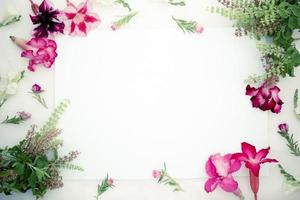 Pink azalea flowers , white asystasia gangetica flowers,green basil  and blank paper sheet on a pink background.spring border pink and white blossom, top view, blak paper  for text, flat lay. photo