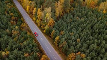 red car rides on autumn forest road aerial view photo