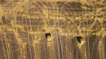 fotografía aérea de campo de trigo biselado con drone foto