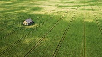 lonely house in the middle of the field aerial photo