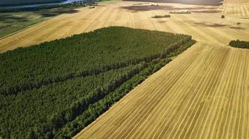 green and yellow fields view from above with drone photo