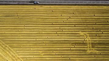 yellow mown wheat field top view photo