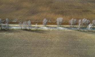 Vista superior de los campos recién arados desde el dron. agricultura y agricultura foto