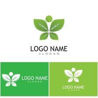 Mint leaves flat vector color icon template illustration design