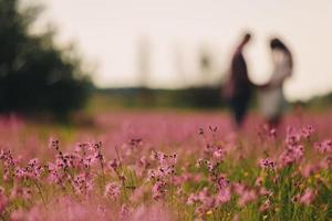 flores rosas en el campo. pareja en el campo en el fondo. enfoque selectivo foto