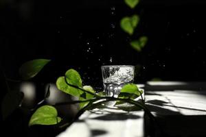 a glass of water on a dark background among the green leaves. Spilled Water from Glass. drops of water on a black background. Eco concept photo