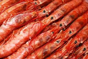 primer plano fresco de langostinos rojos crudos, cigalas norvegicus, cigalas, gambas de la bahía de Dublín o gambas al ajillo. foto