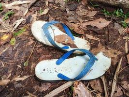 March 29, 2022 in Cianjur district, West Java, Indonesia.  Flip-flops photo in the forest.