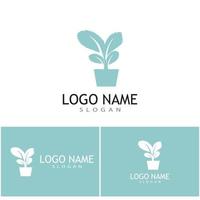 Mint leaves flat vector color icon template illustration design