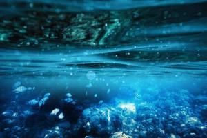 Ripple underwater in tropical sea with fish on coral reef photo