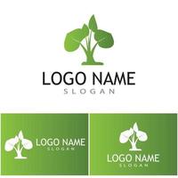 Logos of green Tree leaf ecology nature element vector