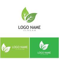 Mint leaves flat vector color icon template illustration design