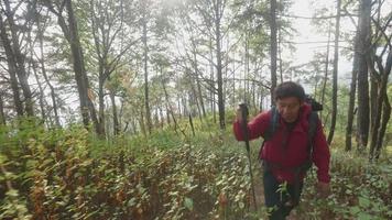 Aziatische senior oude man met een rode shirt rugzak peddel met een trekking paal bergopwaarts in de bergen tijdens de vakantie. oudere stijl video
