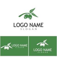 Eucalyptus leaves logo vector template design illustration