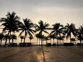 Coconut palm trees on sunset beach photo