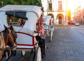 méjico, carruajes de caballos esperando a los turistas cerca de la plaza central grande en merida frente a la catedral de merida, la catedral más antigua de américa latina
