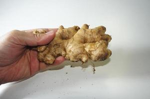 Photo of Ginger isolated on a white background