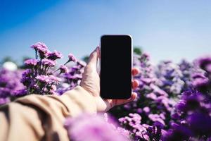 Traveller man holding smartphone in flower field. photo