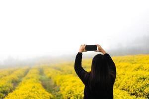 Relax solo travel adult woman on winter in blooming yellow chrysanthemum field. photo