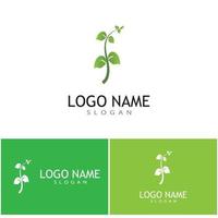 Mint leaves flat vector color icon template illustration design