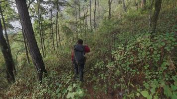vieil homme senior asiatique portant une pagaie de sac à dos en chemise rouge tenant un bâton de randonnée trekking en montée dans les montagnes pendant les vacances. style des personnes âgées video