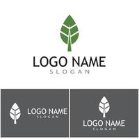 Leaf icon Vector Illustration design Logo template