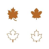 Maple leaf vector illustration design template