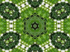 Abstract background in green color. Green leaves kaleidoscope. photo