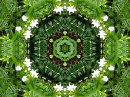 Abstract background in green color. Green leaves kaleidoscope. photo