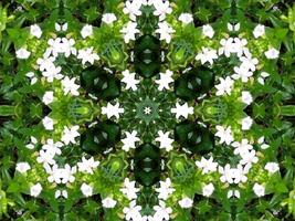 Abstract background in green color. Green leaves kaleidoscope. photo