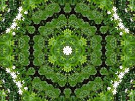 Abstract background in green color. Green leaves kaleidoscope. photo