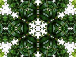 Abstract background in green color. Green leaves kaleidoscope. photo