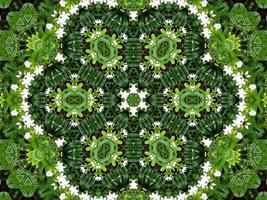 Abstract background in green color. Green leaves kaleidoscope. photo