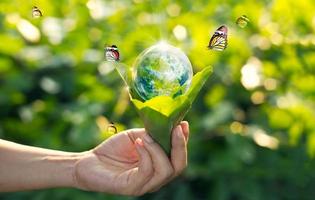 concepto de ahorro de energía, día de la tierra, mano sosteniendo la tierra en una bombilla contra la naturaleza en la hoja verde con mariposa en el fondo del parque verde. elemento de esta imagen proporcionada por la nasa foto