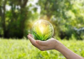 Hands protecting globe of green tree on tropical nature summer background, Ecology and Environment concept photo