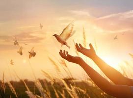 Woman praying and free the birds enjoying nature on sunset background, hope concept photo