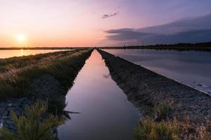 salinas de cervia foto