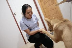 Dog happily plays with Asian owner inside the house. photo