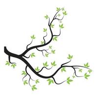 branch tree vector illustration summer clipart autumn clipart nature forest