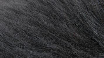 fur texture. close up of fur. fur background