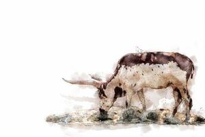 Texas longhorn cow in a nature park. Watercolor style. photo