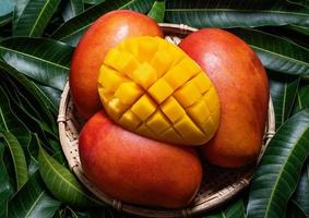 Fresh Mango - Juicy diced fruit in bamboo sieve on green color leaves background. Tropical summer concept. Top view, close up, macro, copy space. photo