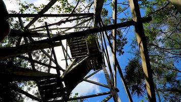 mirador de madera torre selva tropical a laguna muyil panorama mexico.