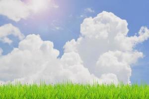 Grass field and sky with bright clouds for the background in the project. photo