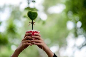 Beautiful green hand and heart images Valentines Day concept With copy space photo