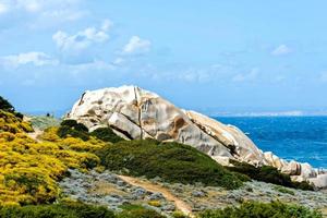 The coastline at Capo Testa Sardinia photo