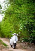 Motorbike park in the forest The fuel is exhausted. Natural tourism concept photo