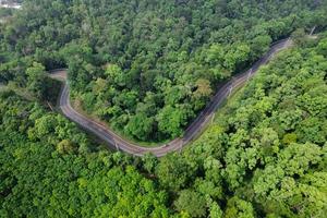 road and green trees from above in the summer forest photo