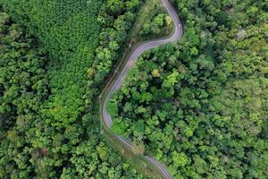 road and green trees from above in the summer forest photo